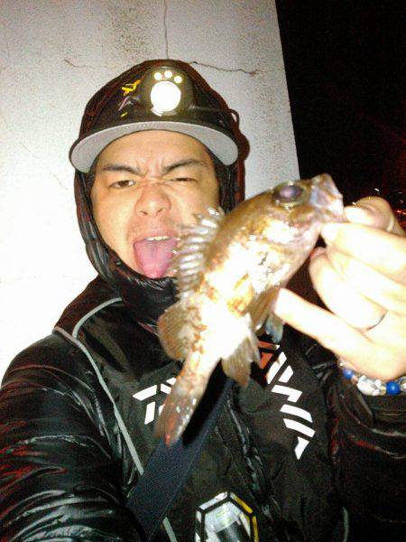 一匹いただきました！